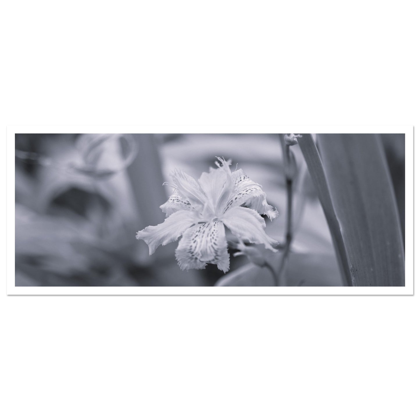 f7d39458-b11c-4b4c-bc13-9955f013a769