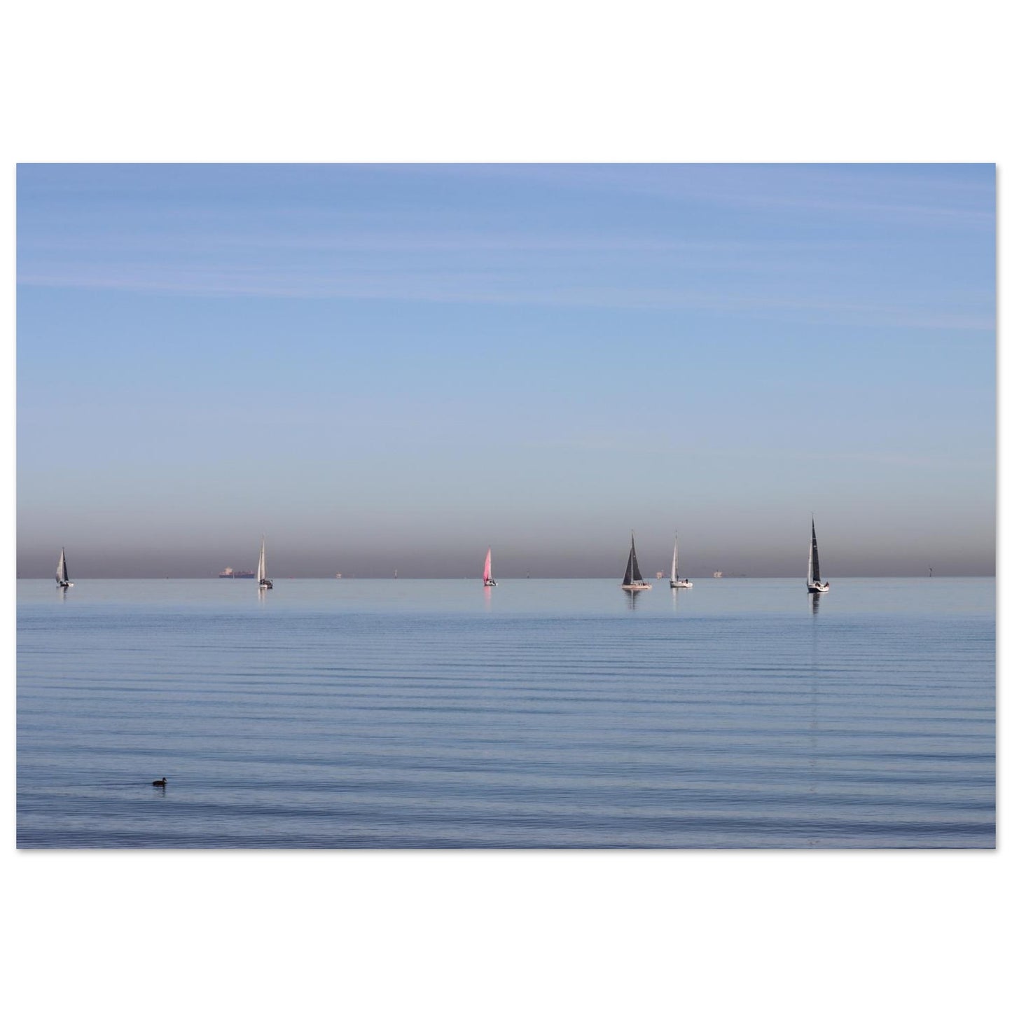 f807e4ed-2390-4f03-ba7e-c0c3c6d3a019