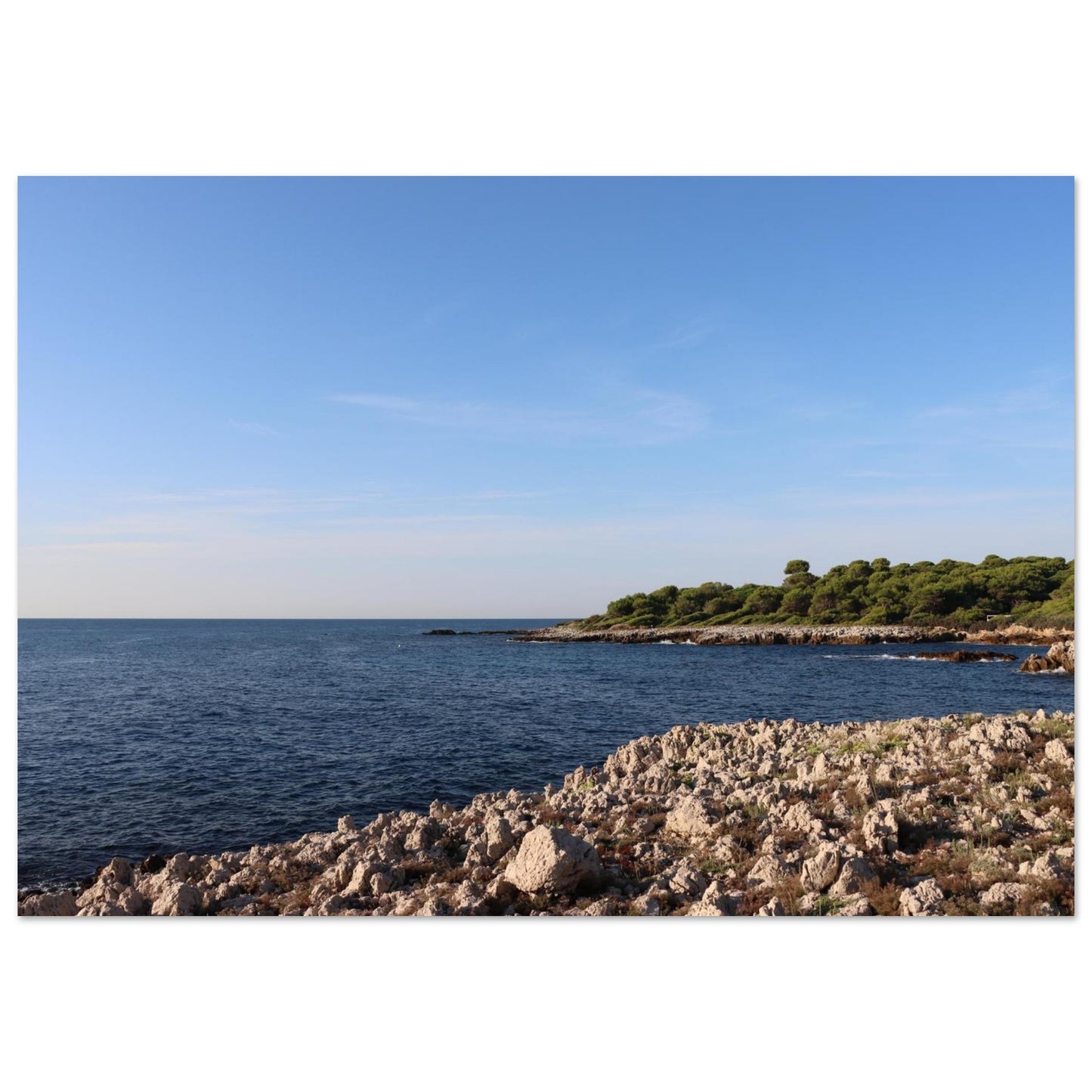 fa13cf81-5577-450c-bc2b-d53cb028fbe8