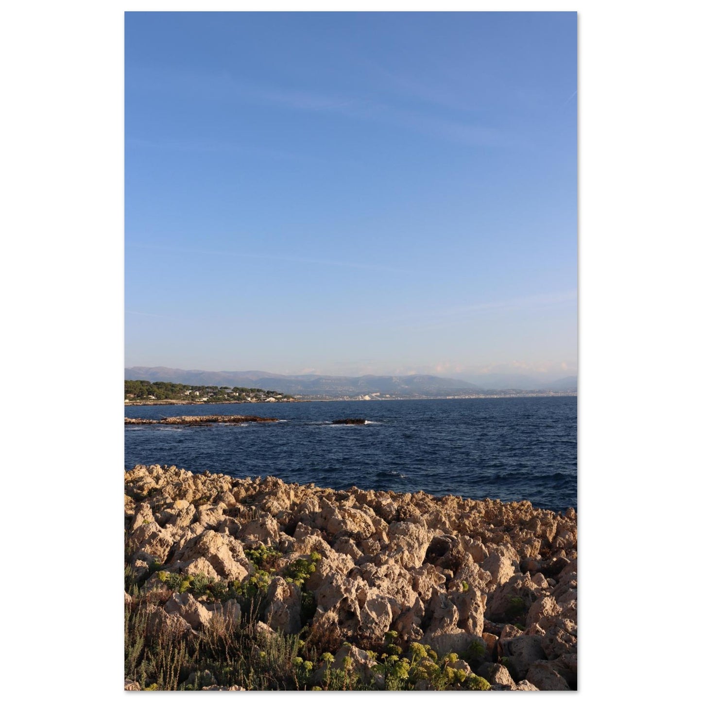 fbdc2a73-cc17-4fd2-b520-0262879fb624