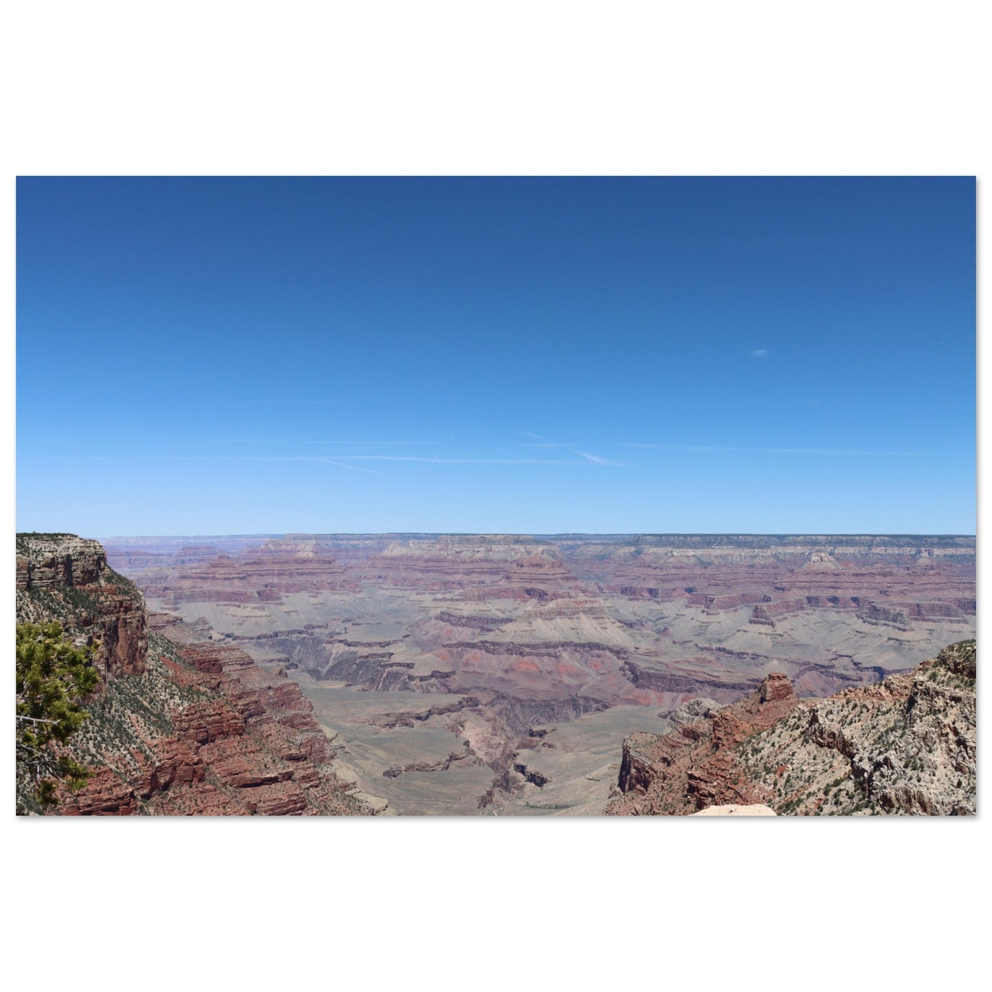fd371d4f-8811-4132-8ca6-c097998bd547
