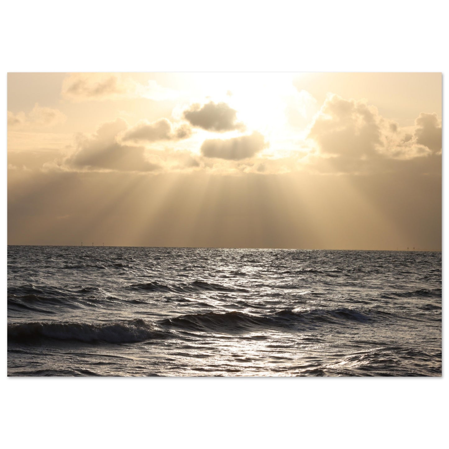 ff027f76-ae75-4969-91d6-6d15f2ebdb39