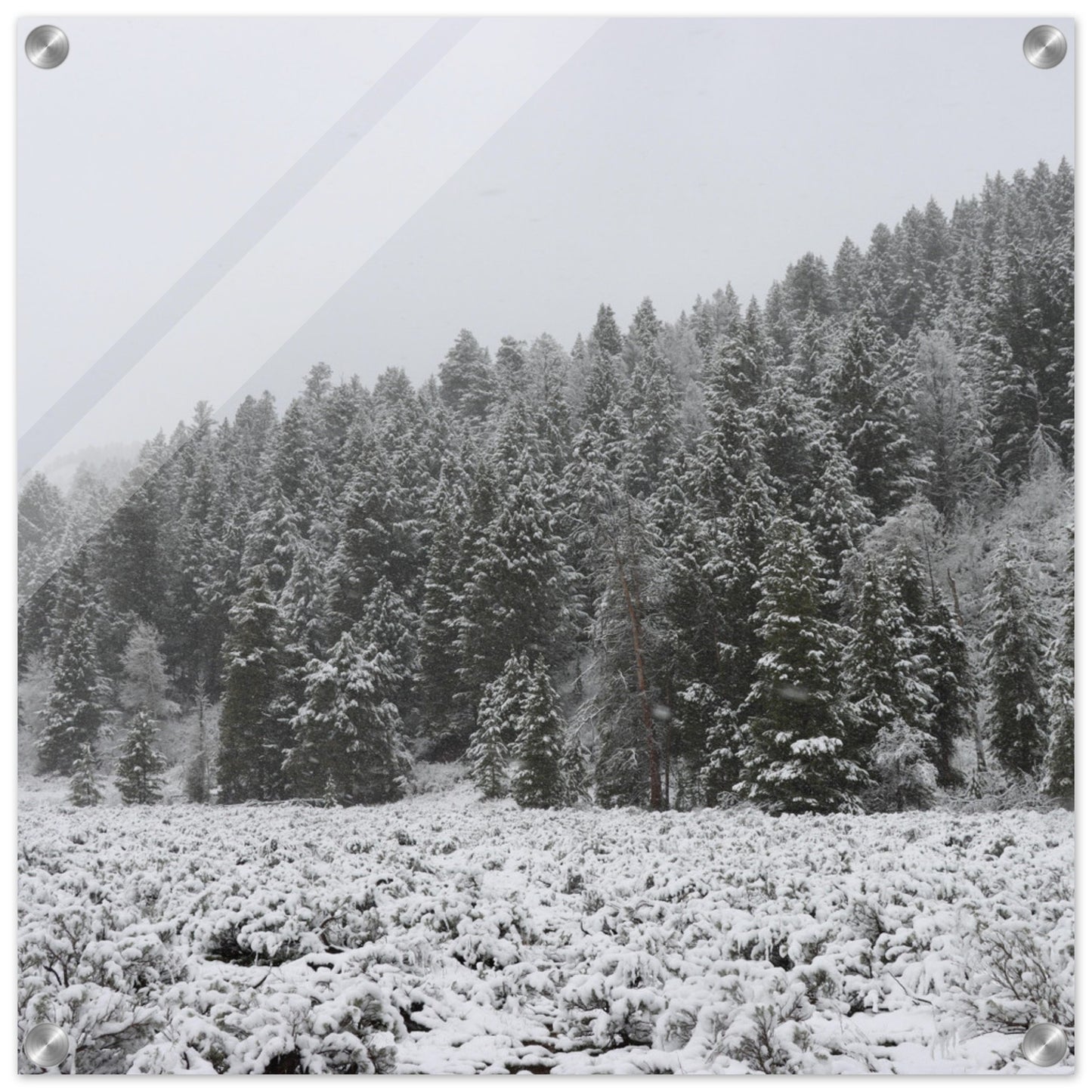 ff21dce8-7c47-452d-b804-5a20ec7b00df