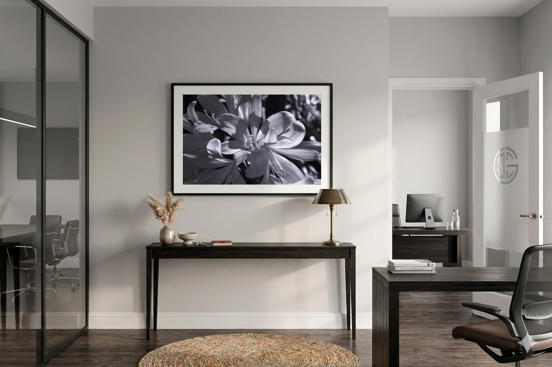 Black & White vs. Colour Photography Prints
