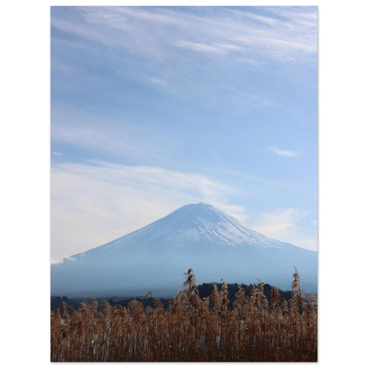 00926e92-a5c0-4024-b2c0-66bf91caa219