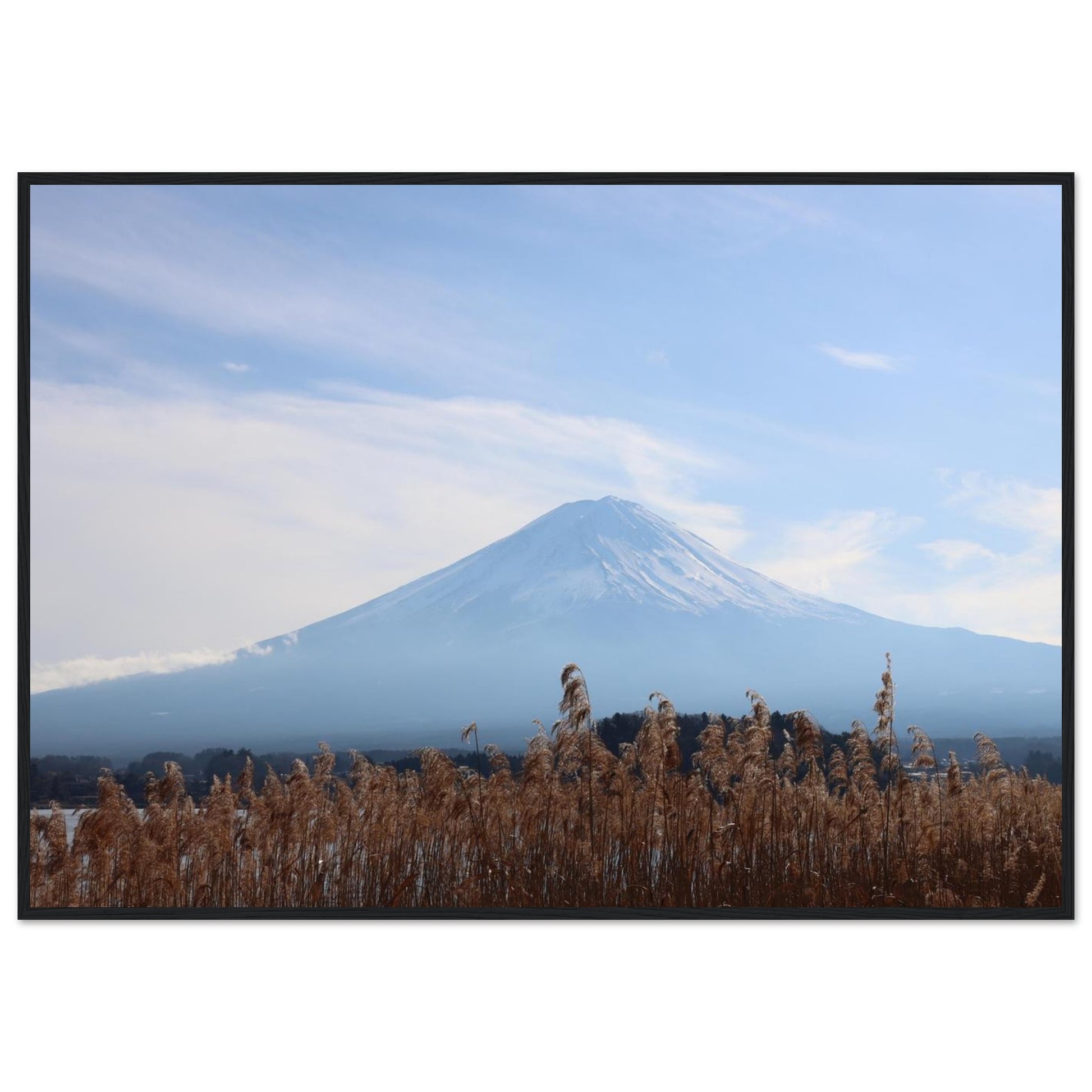 0141d90c-66ec-4379-8aba-3842ecd3d4d7