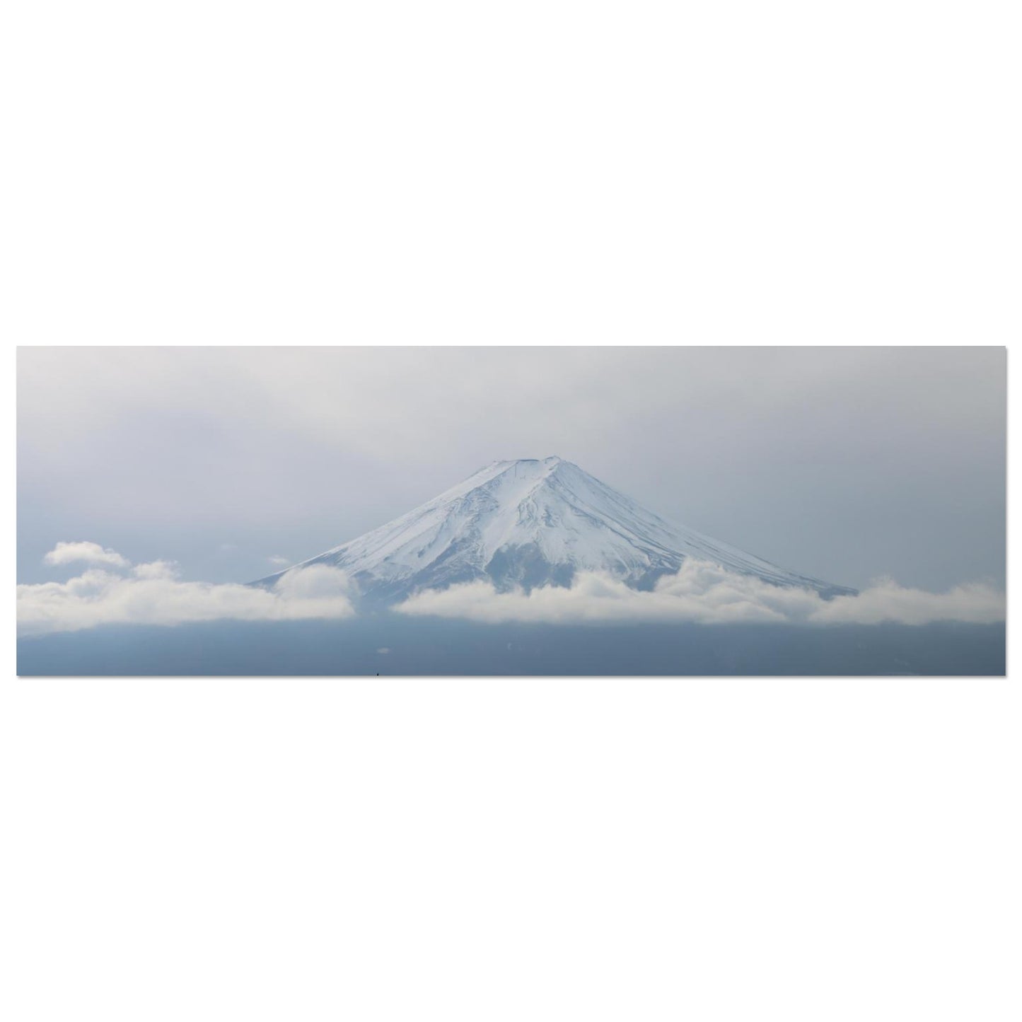 01b53983-c5d0-4b82-88a2-0f6b50d269f2