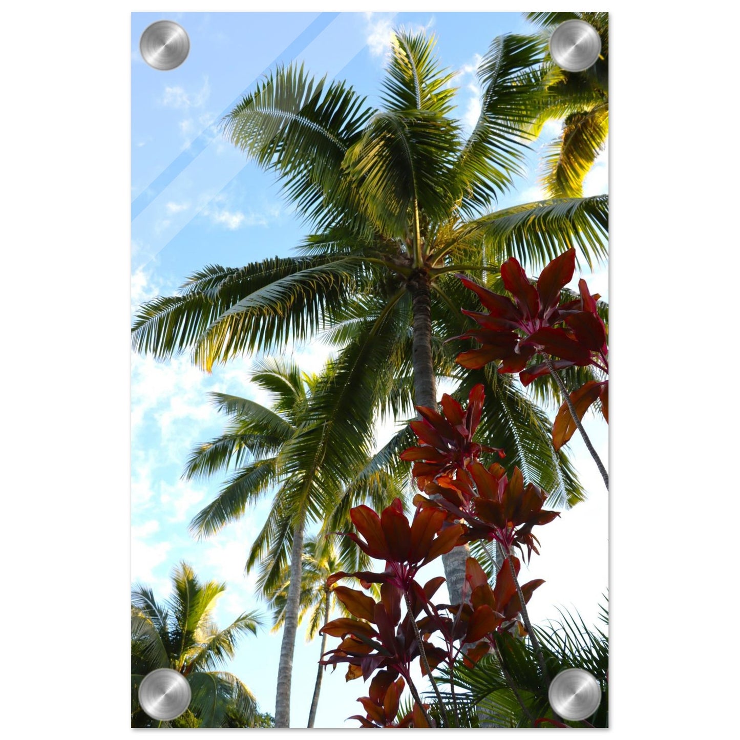 02949650-424b-42ee-a7df-257a6d727f12