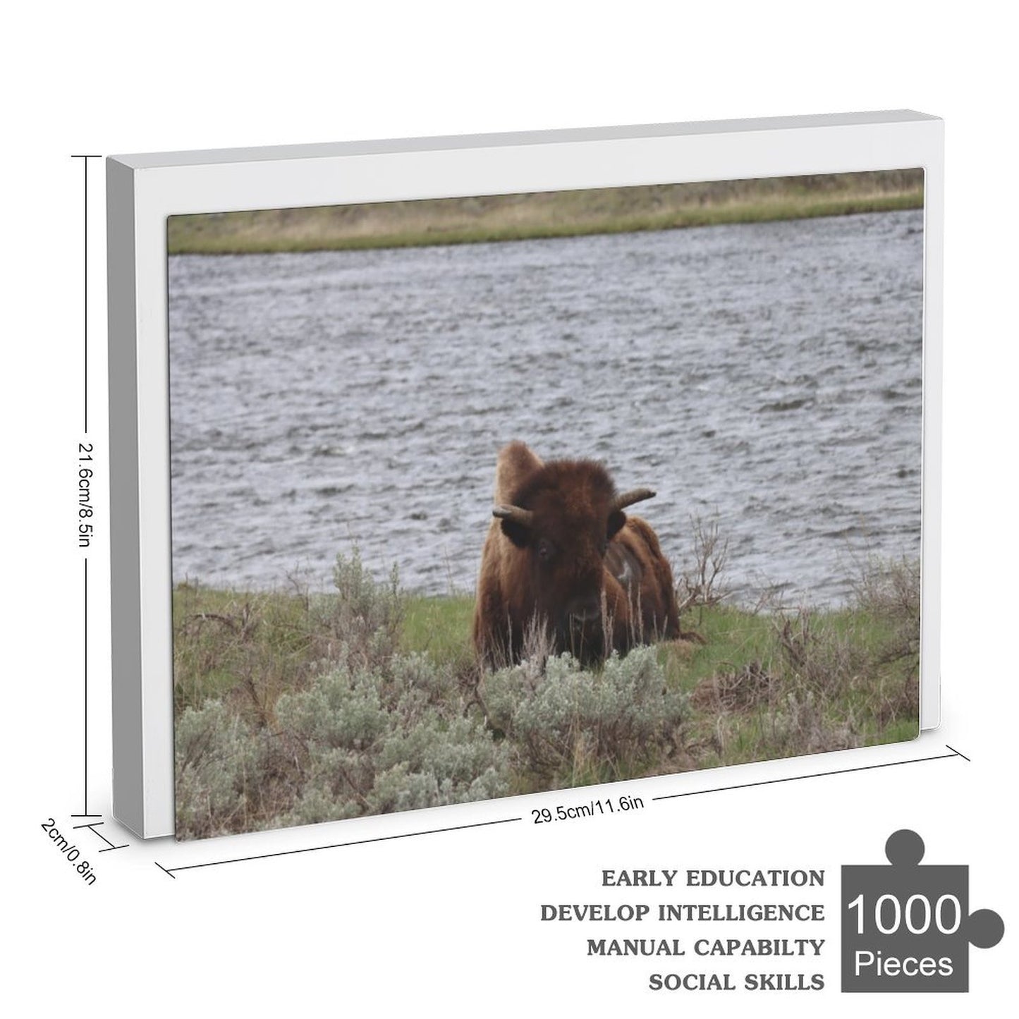 Bison by the river - 1000-Piece Jigsaw Puzzle