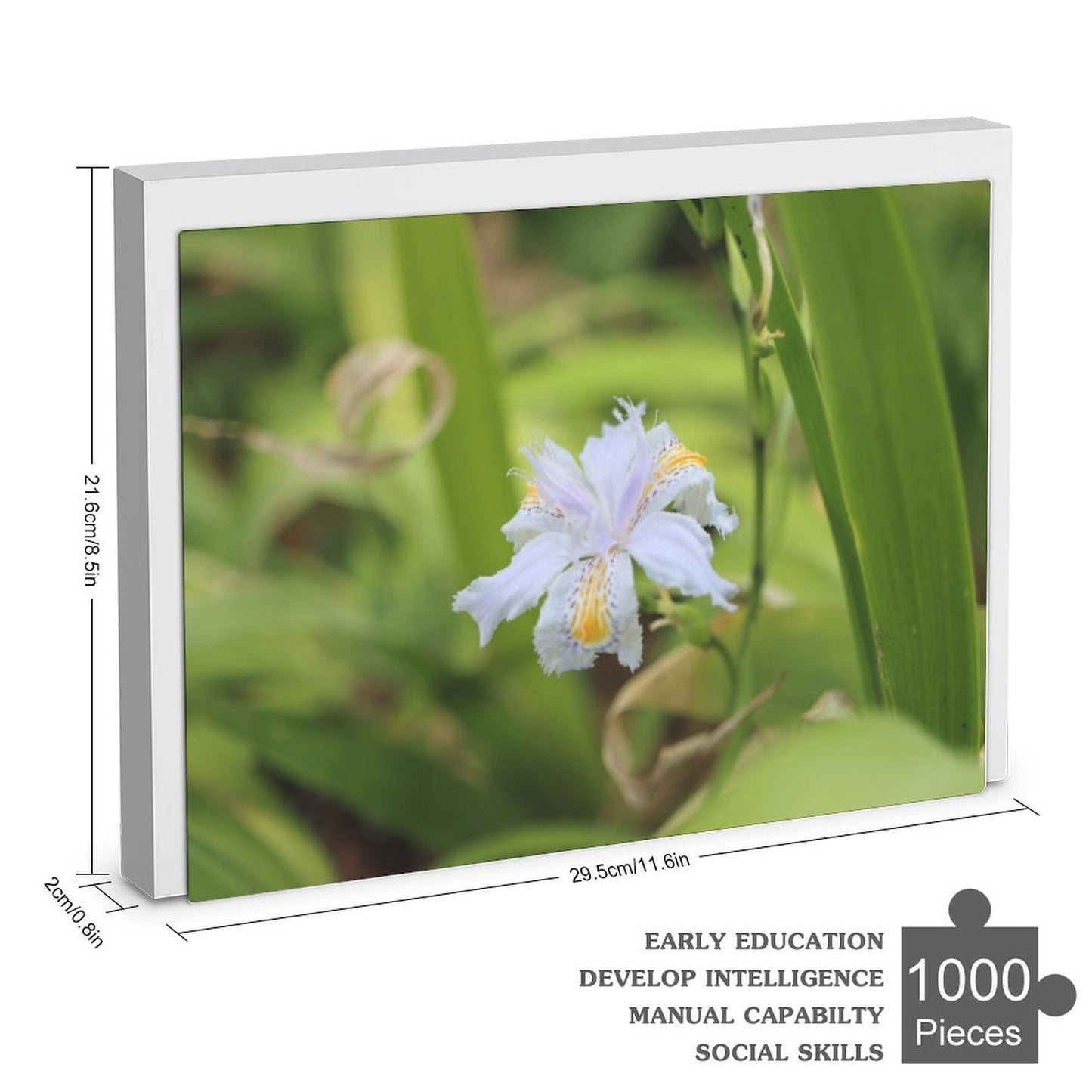 Japanese iris - 1000-Piece Jigsaw Puzzle