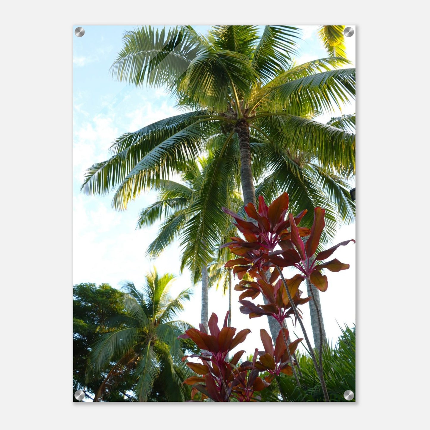 0618fbdc-79c7-48d8-8f9a-d6868a917330