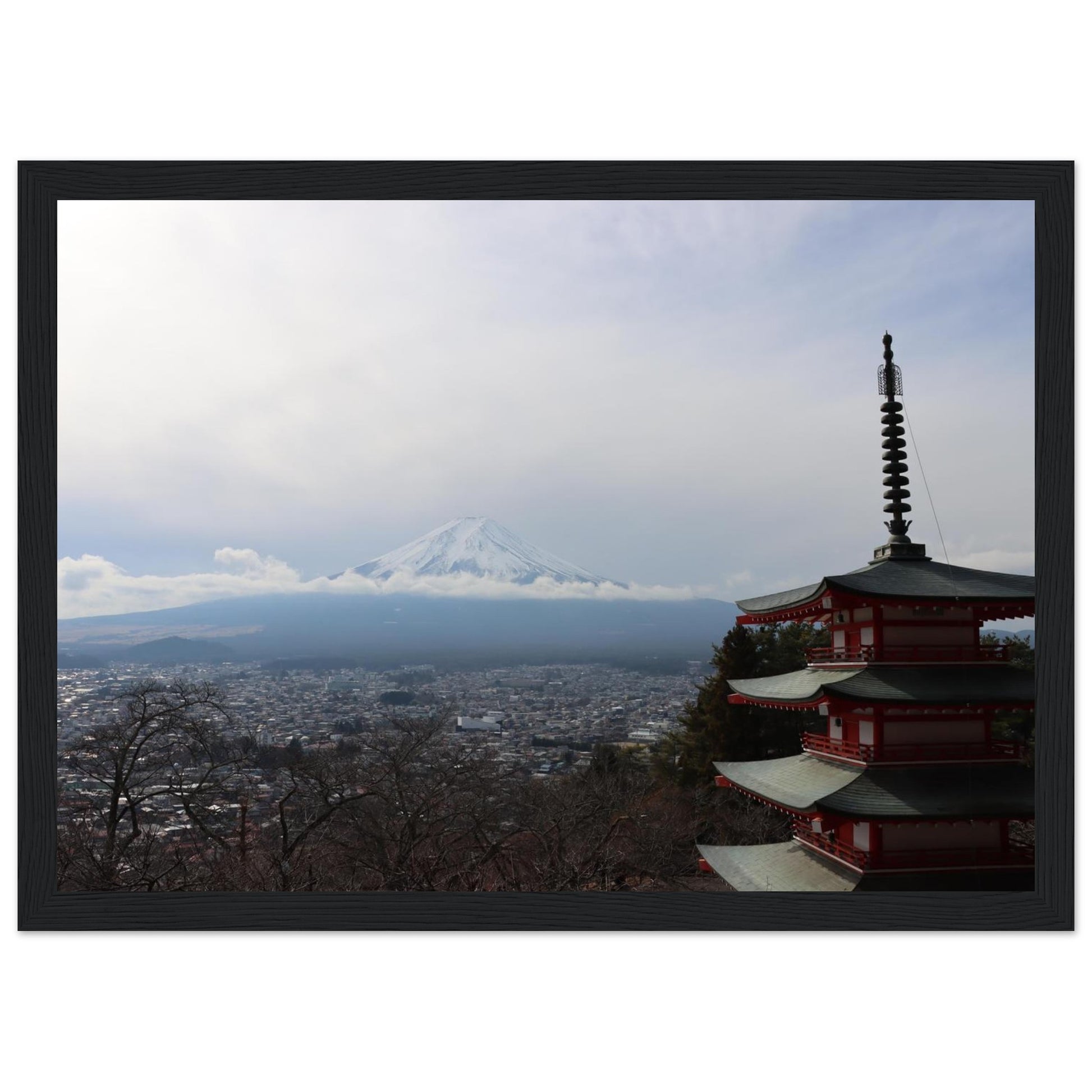 063554d6-c79e-4f84-b063-f7b790ad454f