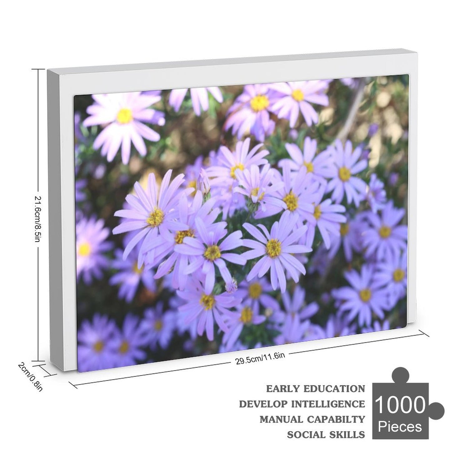 Violet daisies - 1000-Piece Jigsaw Puzzle