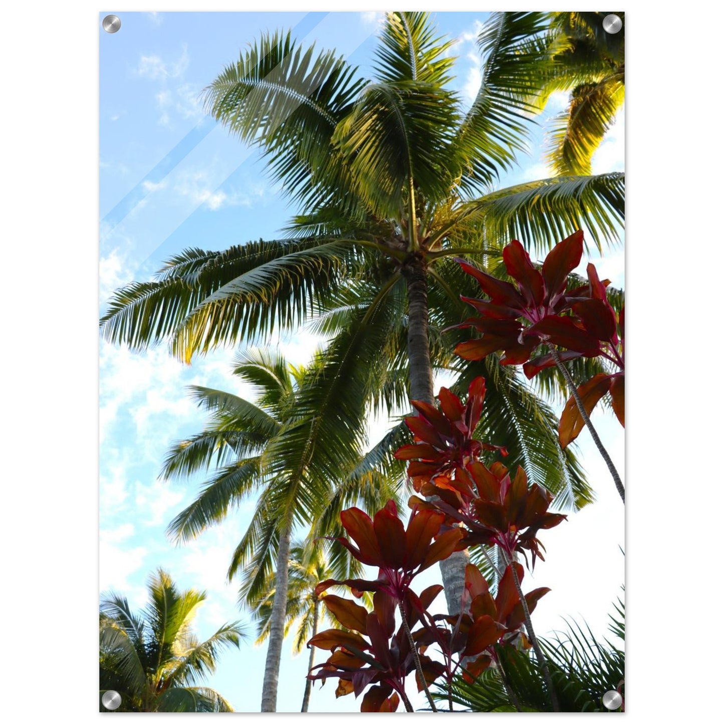 0ce08c32-fa4a-4c27-802a-251c3017d13f