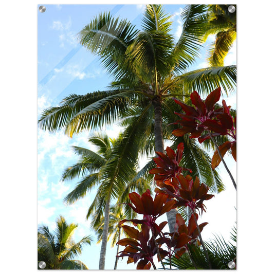 0ce08c32-fa4a-4c27-802a-251c3017d13f