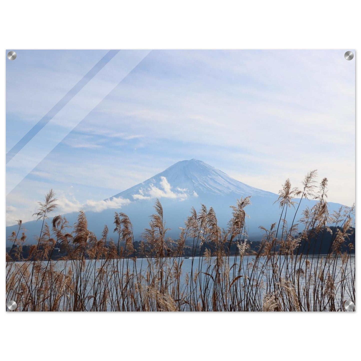 11b0db97-1f8e-4bc5-8cbc-d78b459392da