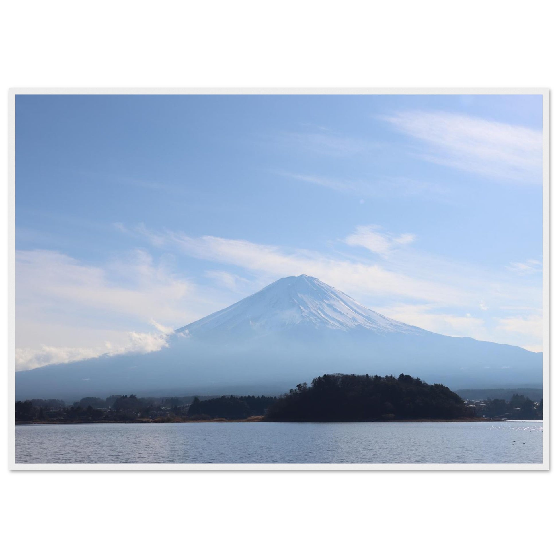 11ee3fb2-ace7-4c87-87a3-b31ec8e85f46