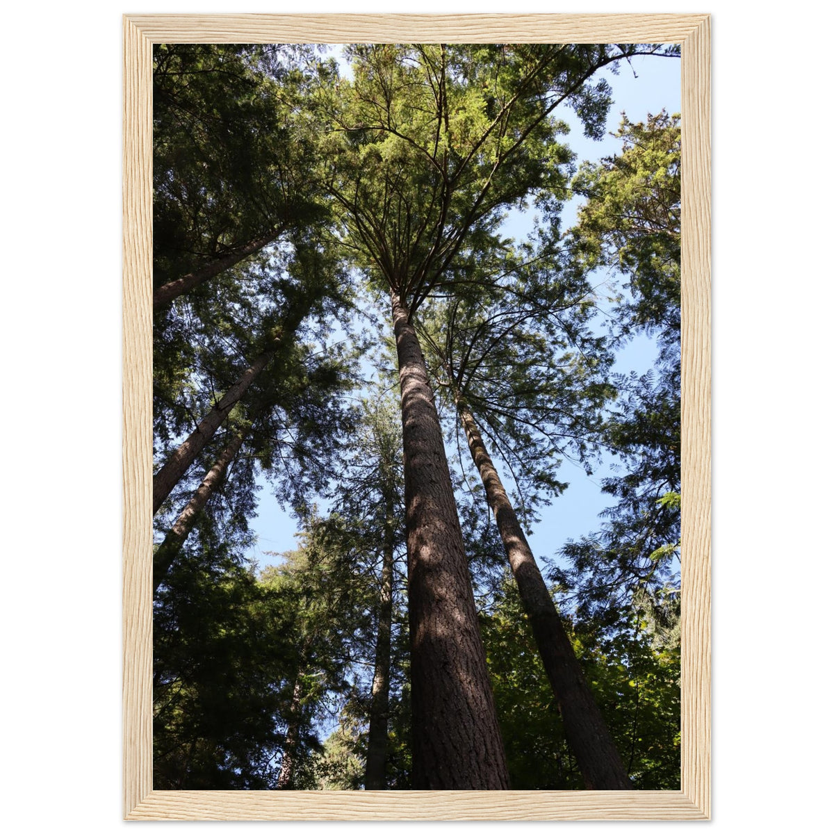 16a7913c-1a15-4495-a56a-5b84139457e2