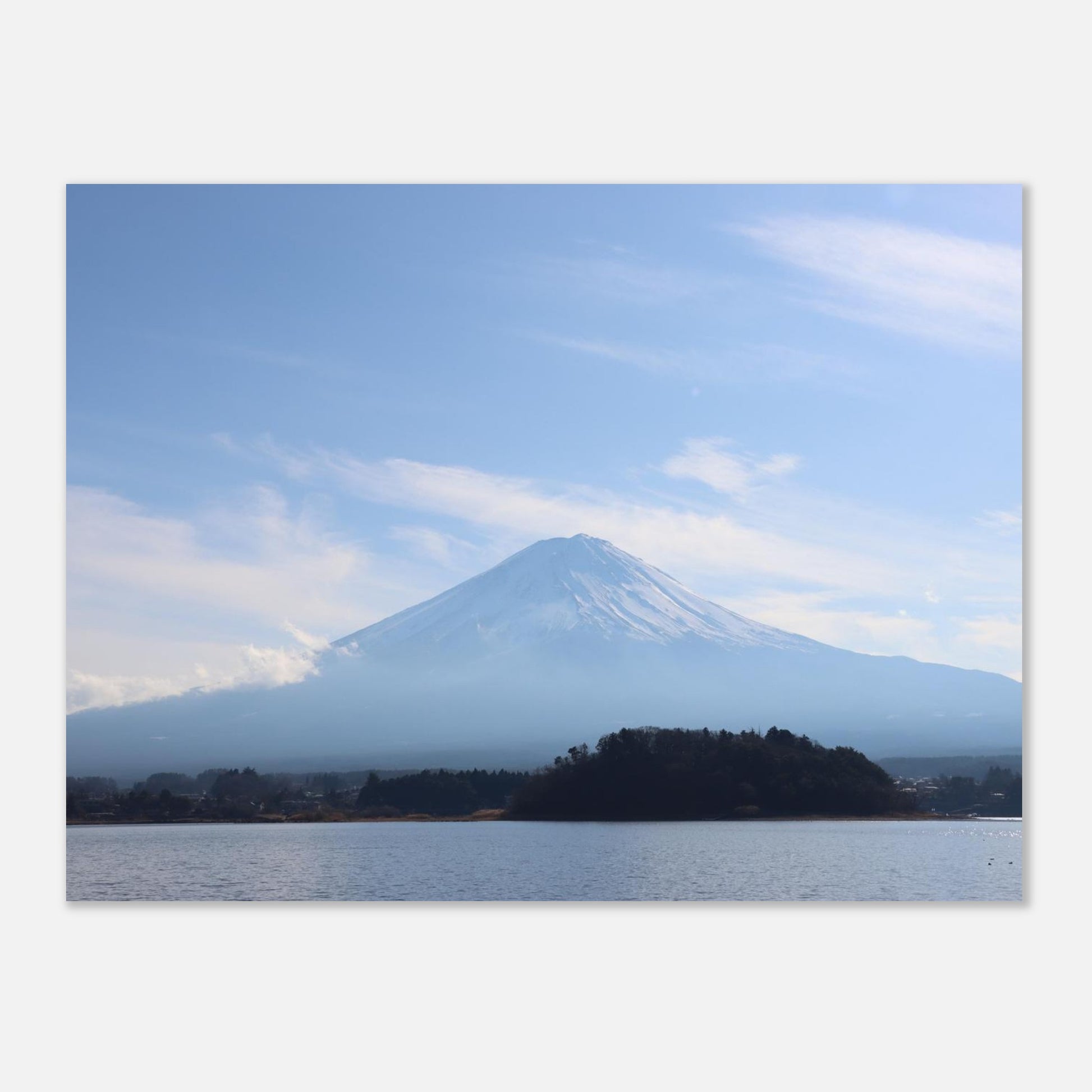 172b8ec9-1f95-467e-b346-d39f15318391