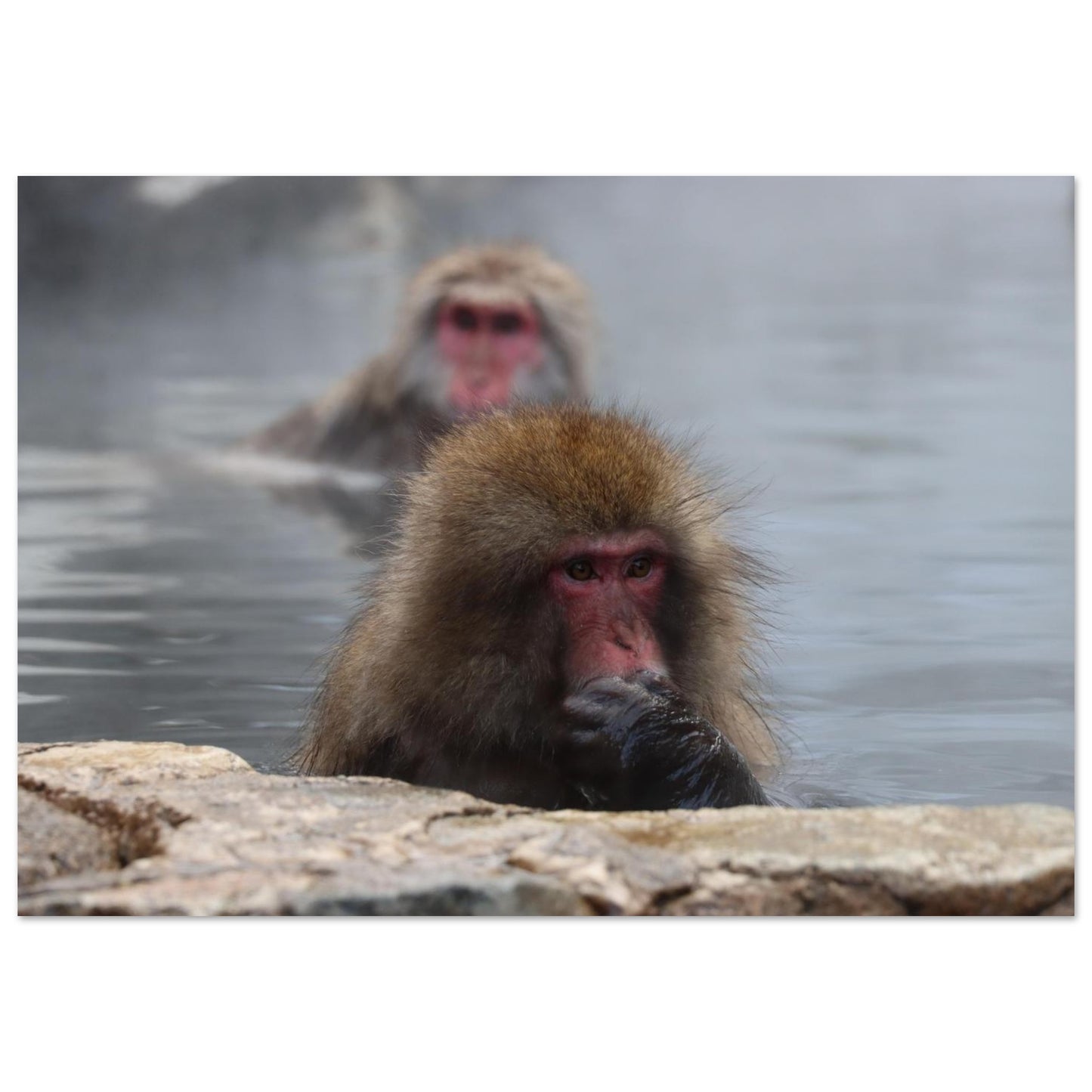 1a3224a9-8199-458d-9af6-bad7db88b072