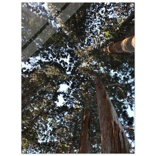 1a71abc8-d529-4c1f-88e7-87915ad21036