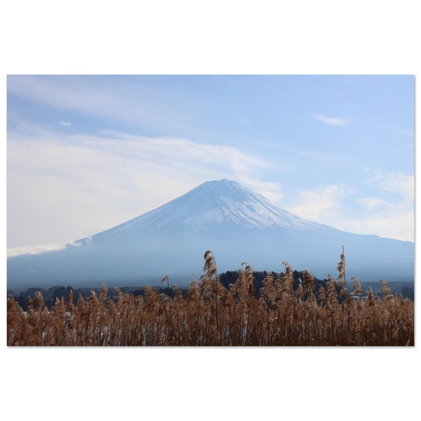 1a763fcf-5598-4e93-b214-0067502c055a