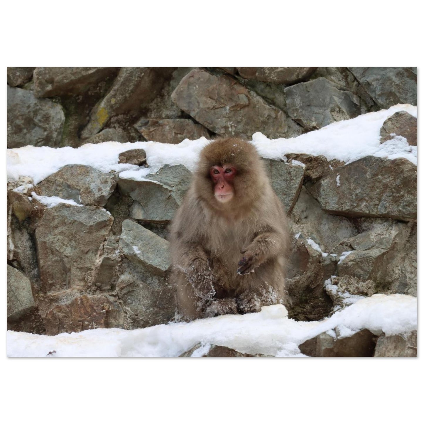 1da3695f-4341-4839-b82e-22d9e5981126