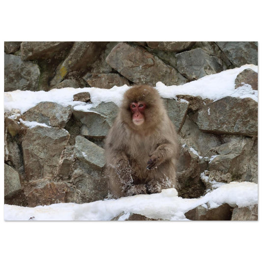 1da3695f-4341-4839-b82e-22d9e5981126