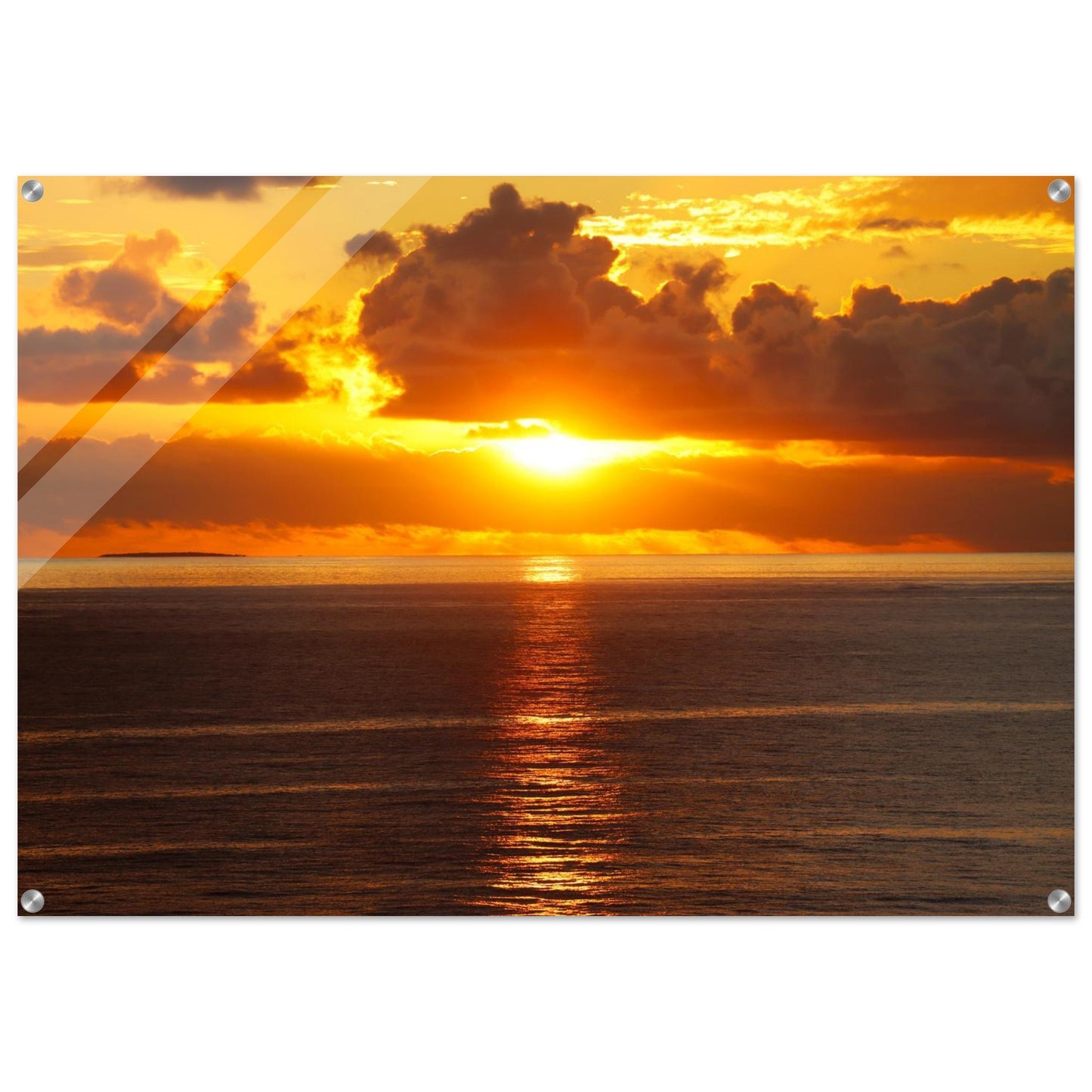 1dac48a2-5774-409e-8bcc-d6db2f9501d2