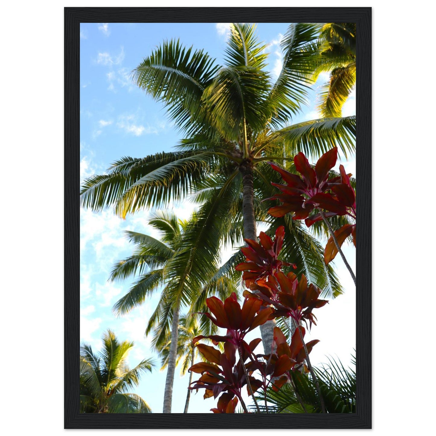1e02280f-aab8-4d4a-be47-95bf1416ae04