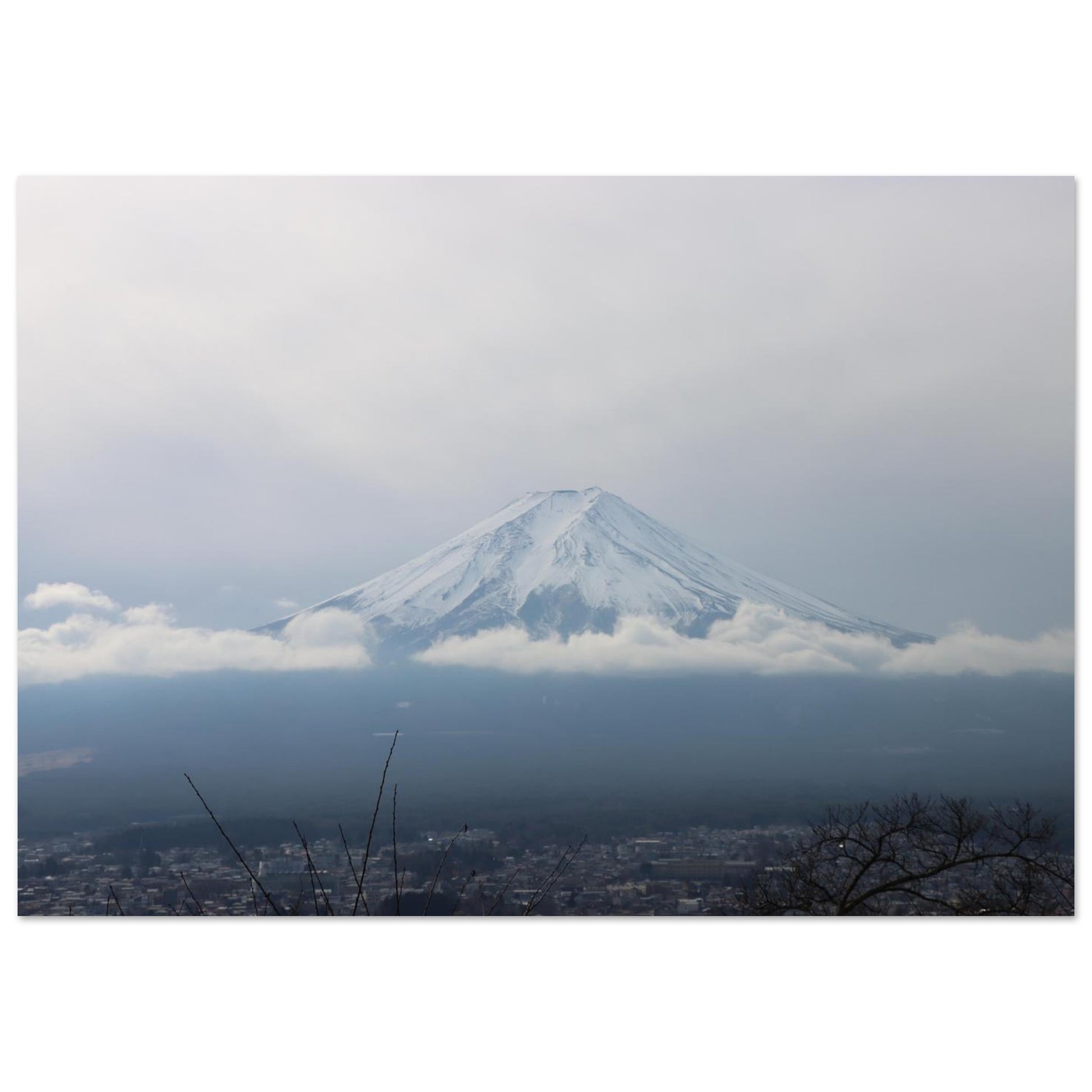 1ebf1f49-5f22-4f84-b029-3c9d94c32816