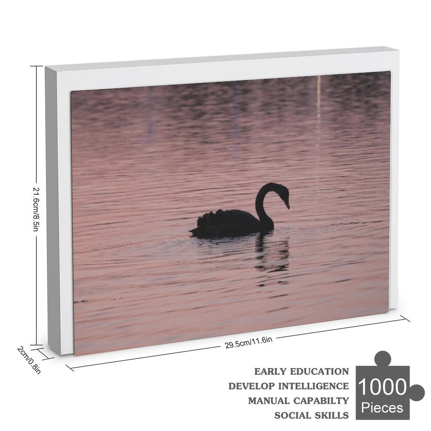 Black swan at dusk - 1000-Piece Jigsaw Puzzle