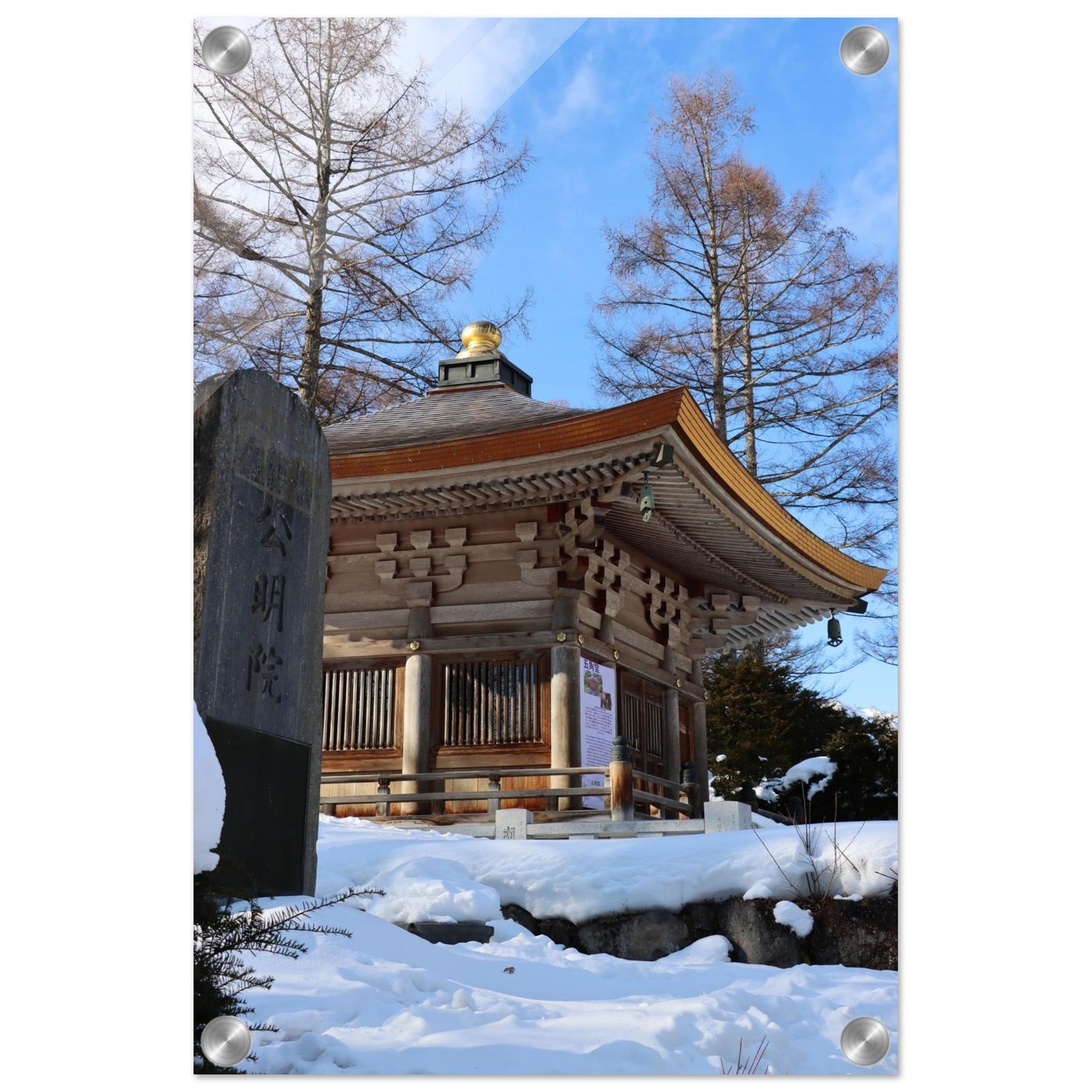 2211909f-834d-4739-9910-a6edc035076a