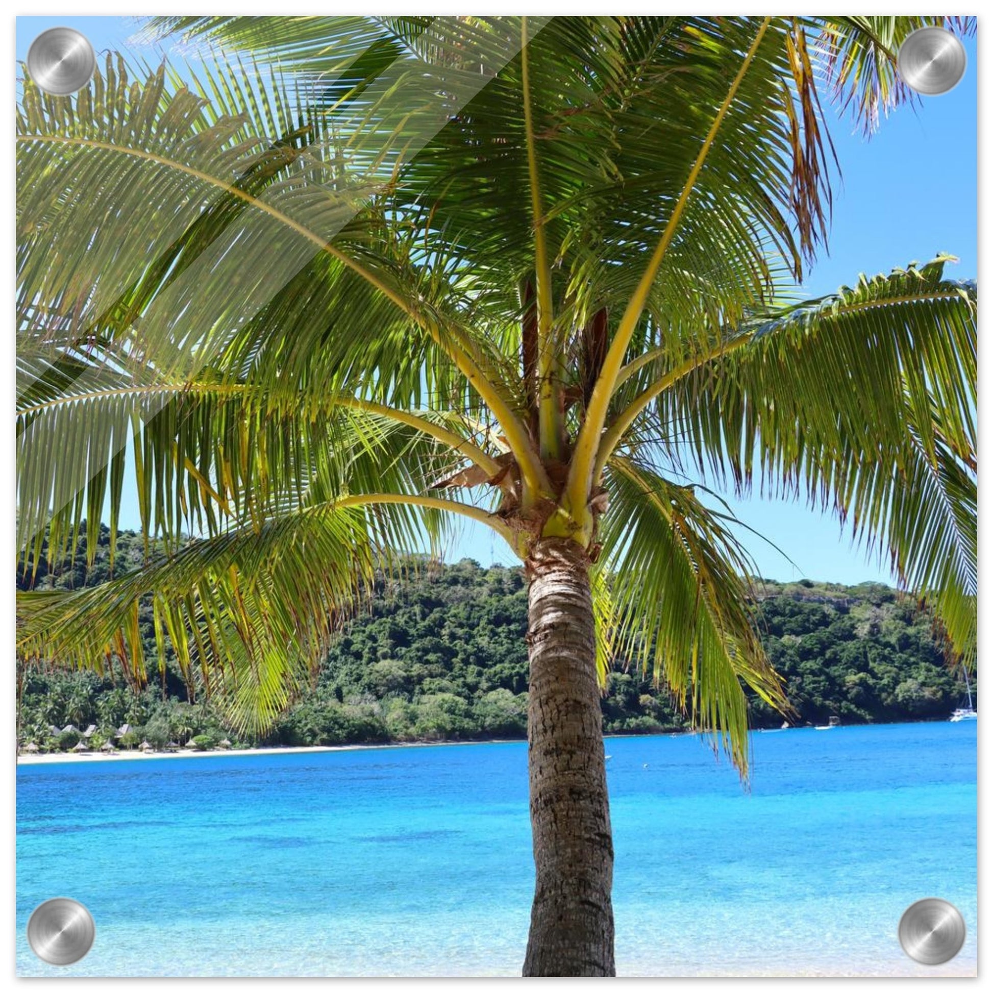 24403f79-9b7c-4368-bca7-1587c08c662e