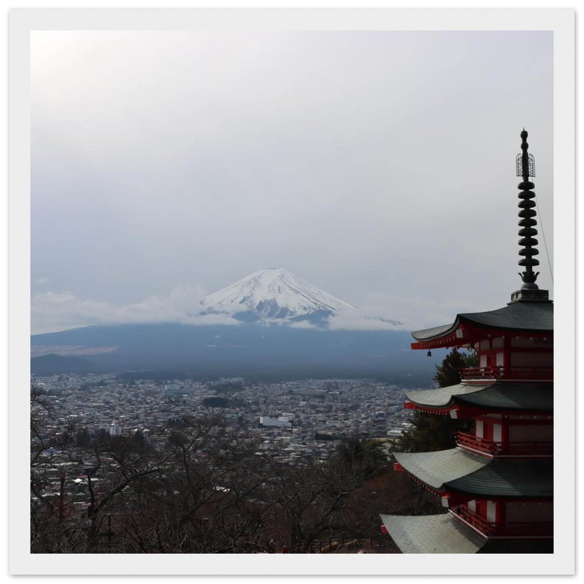 2476df55-edd6-4126-829b-d6b4c712fb30