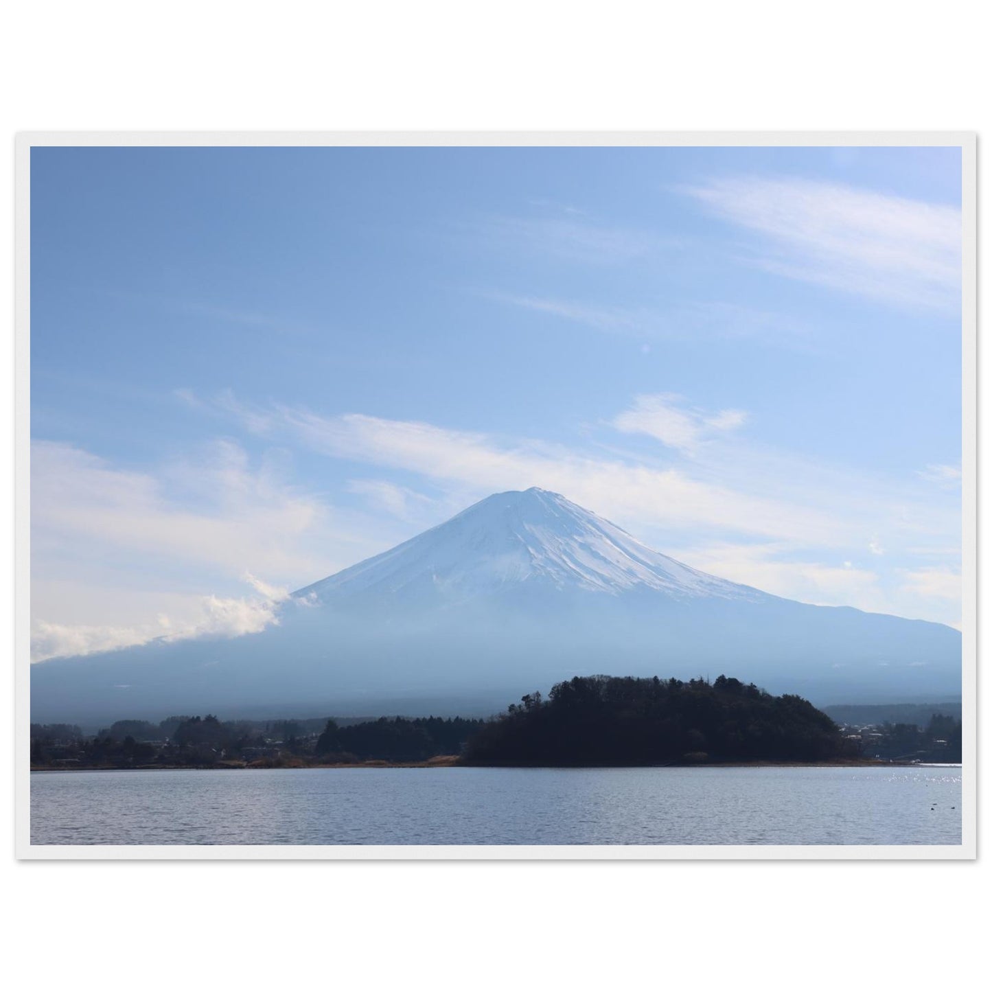 262a941d-a661-48f8-b508-c7d98e9414d0