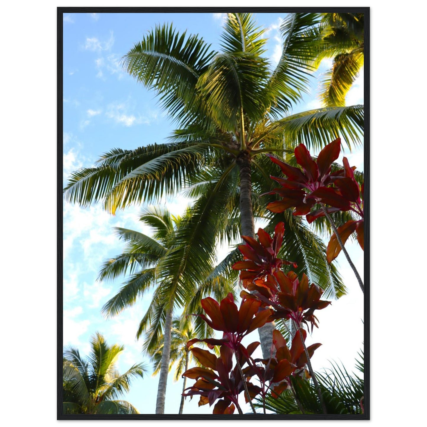 29ec6649-0d38-44dd-9b48-6b56359a0e78