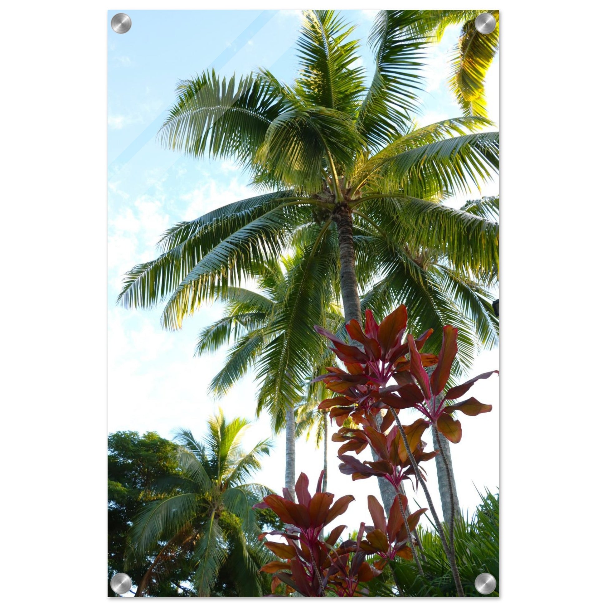 2b59f844-273c-4fb8-b57c-5ef3353f2bb5