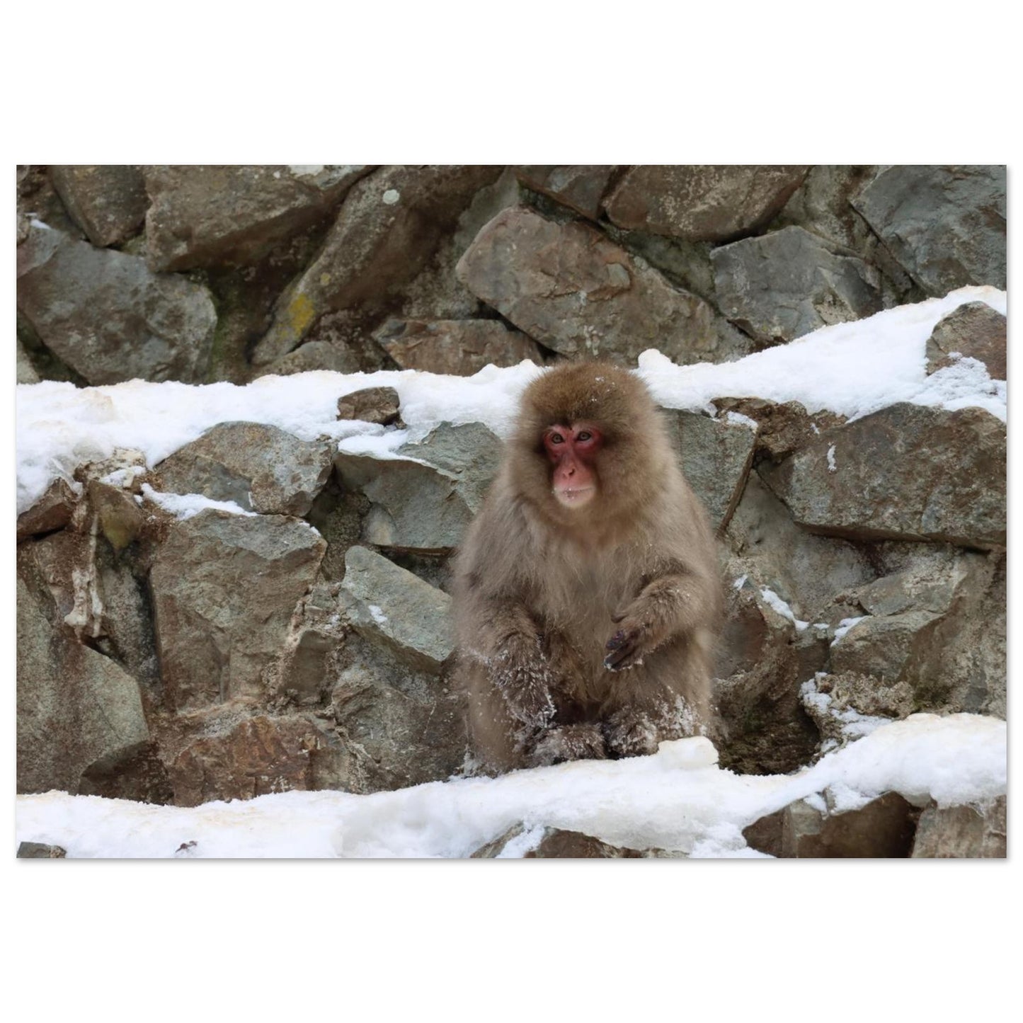 2ccf8392-b969-47c5-9f58-8c6c4dde0b93