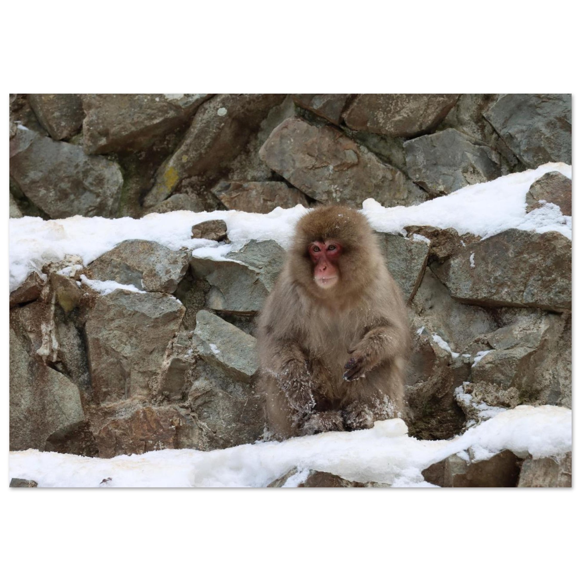 2ccf8392-b969-47c5-9f58-8c6c4dde0b93