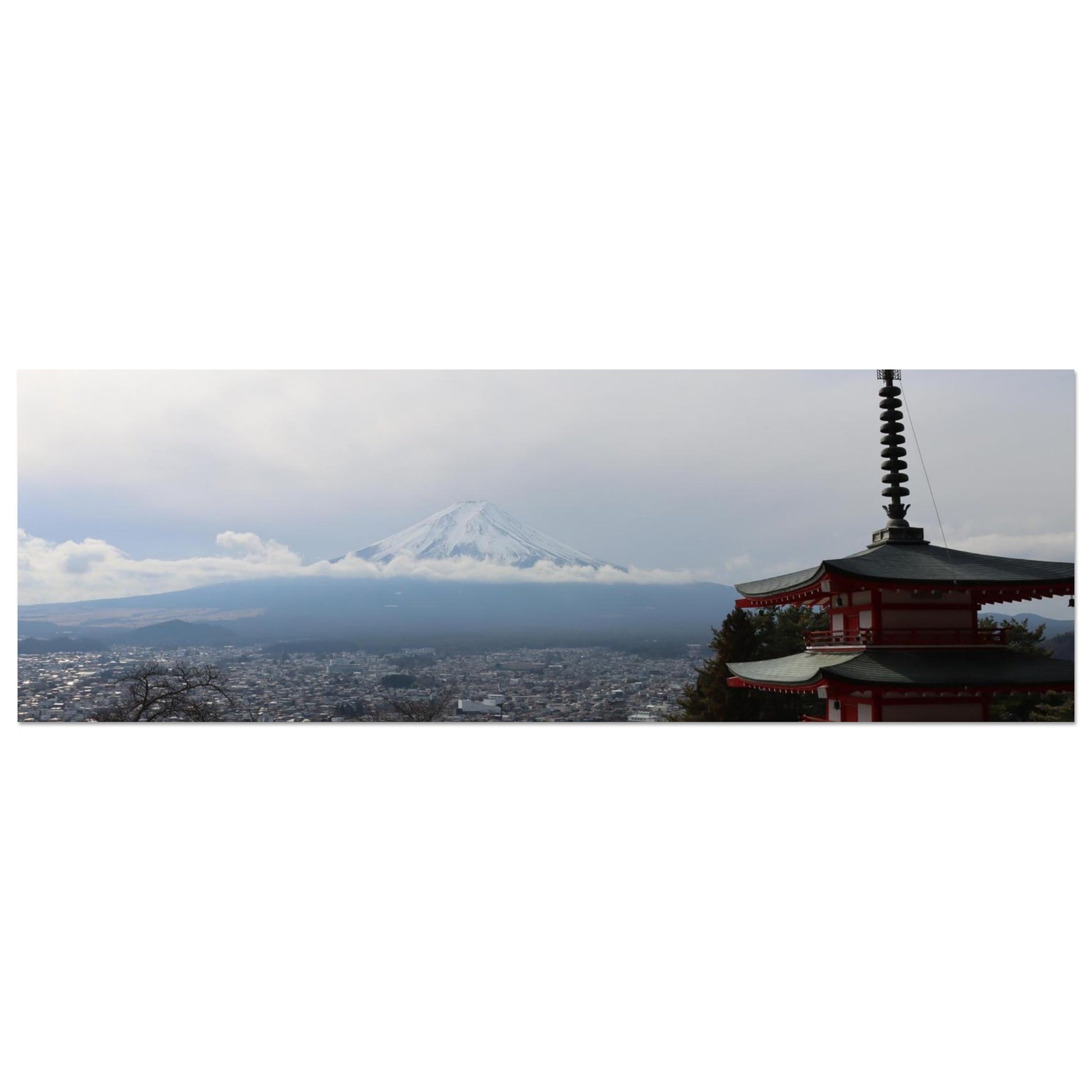 2d52c430-c1b9-4b63-ba37-df2bfc8e5282