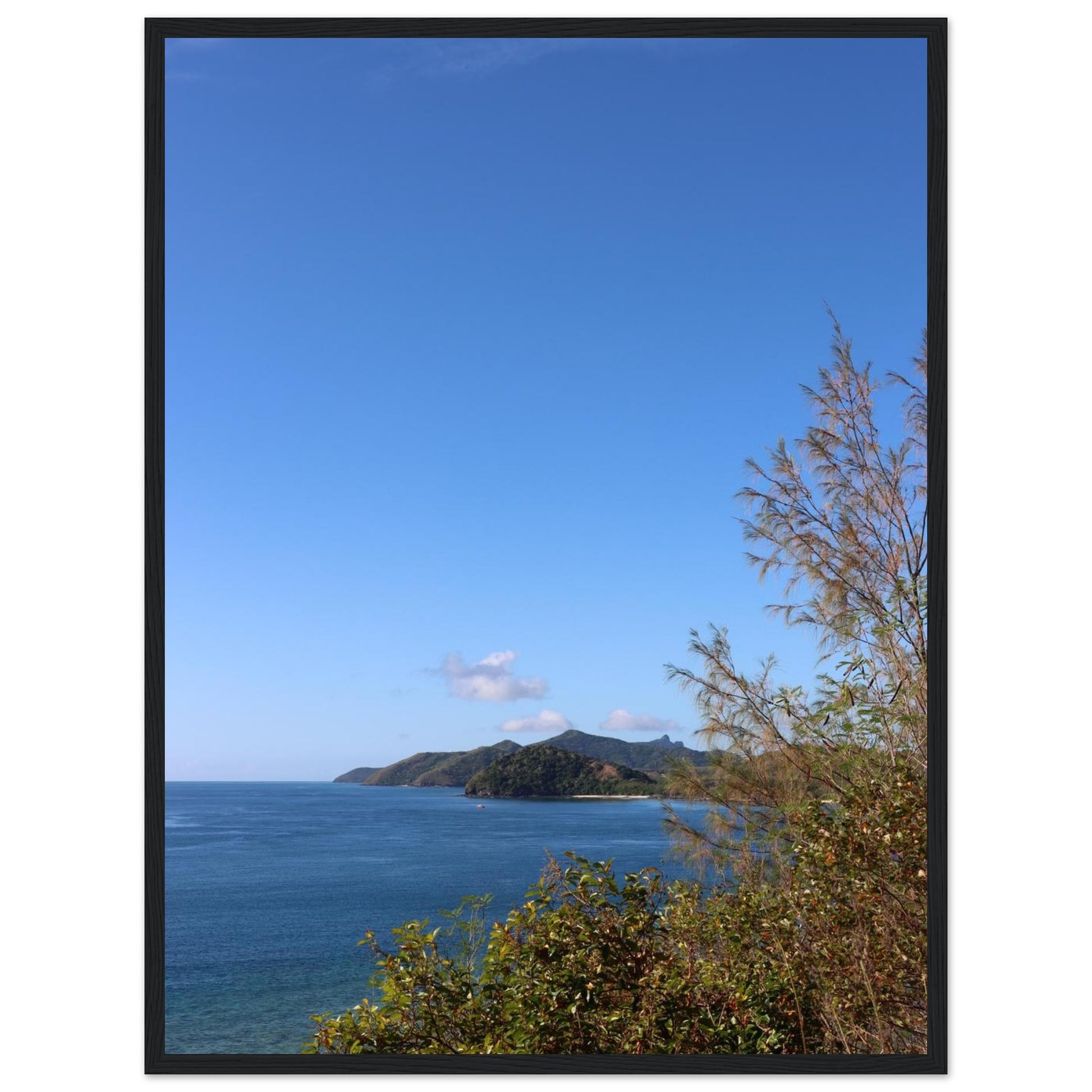 2d65daa8-c41a-4c71-9ef6-910998c265d4