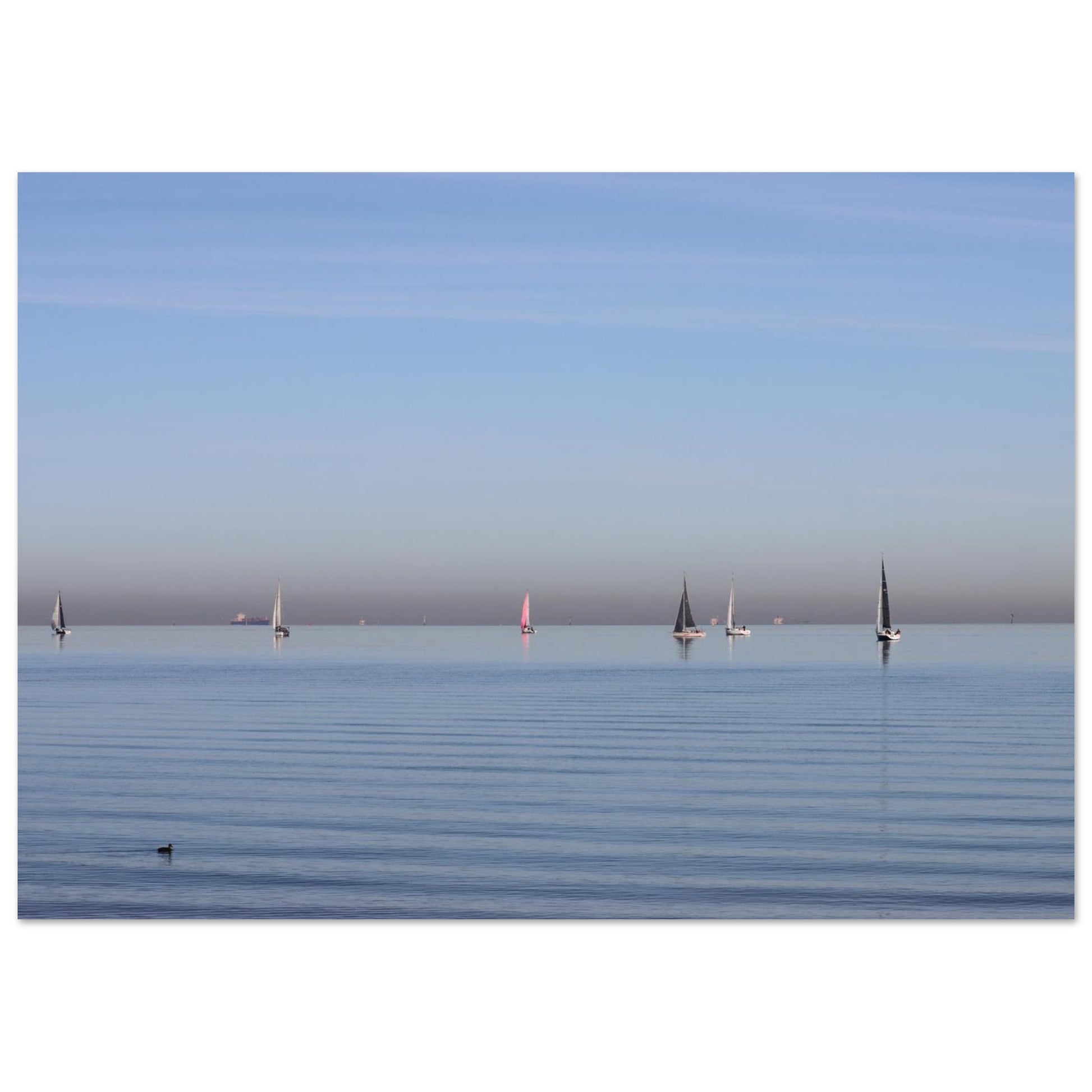 2e295f19-b0e0-4801-a9d1-d273d9e7a949
