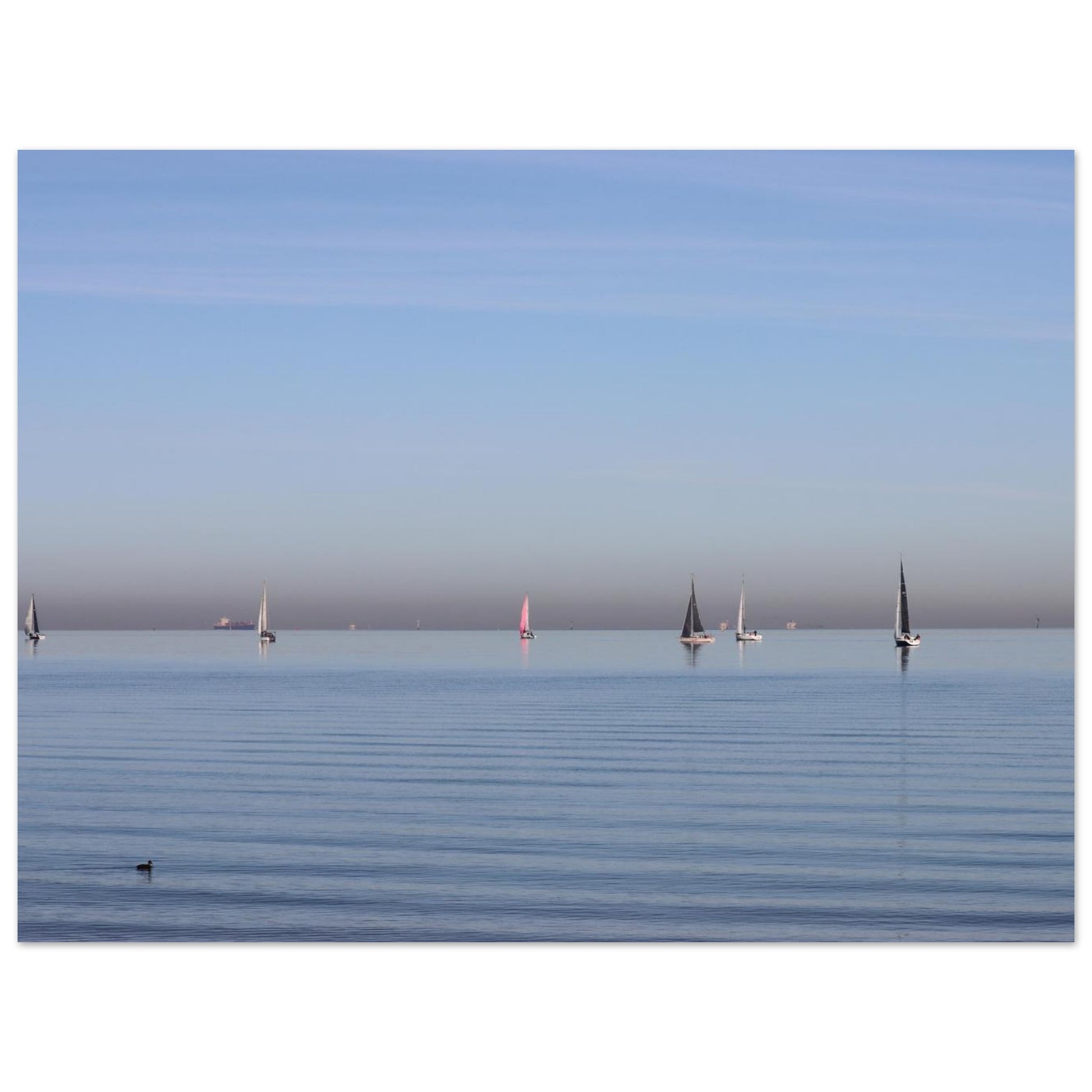 2e68461e-4678-4d0a-a112-87ff152c33b4