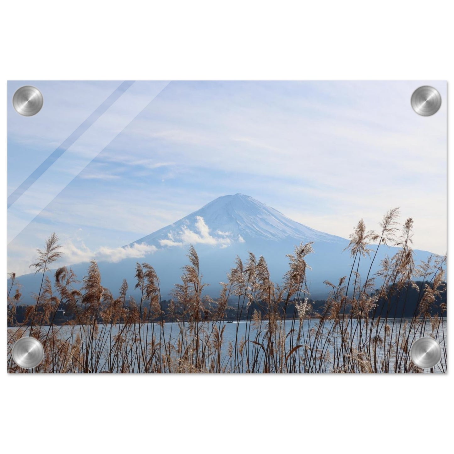 2f36d241-fac8-4f05-be18-0148c0163b3d