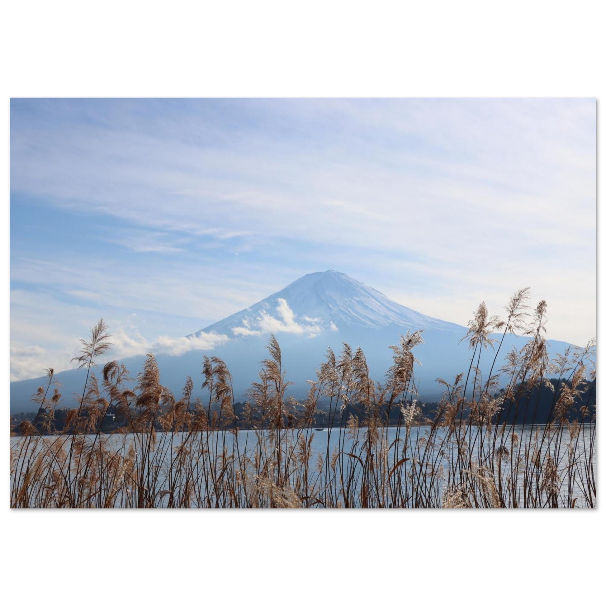 314c4210-92ac-47e4-bc11-8137c5265b7f