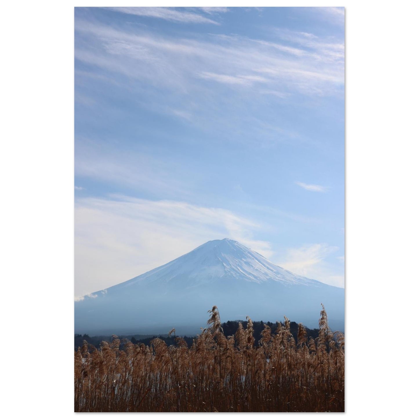 32ce578c-3f17-4792-b7a4-a6ea0071a495