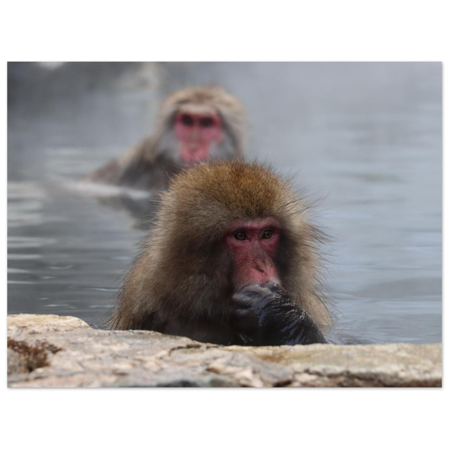 338e0816-2185-4d22-b85d-44e4f18a0792