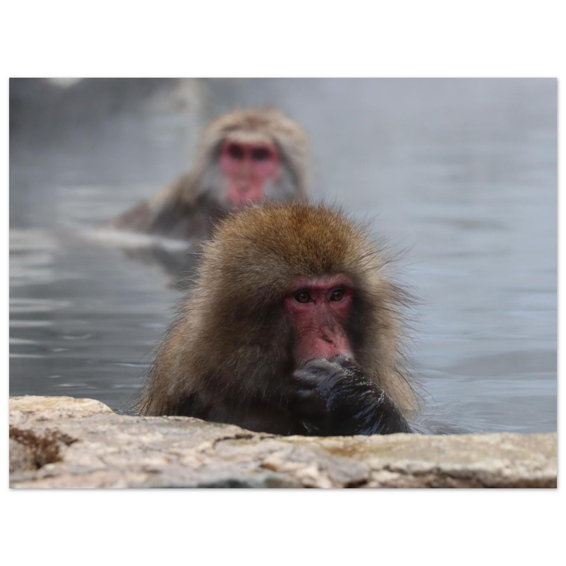 338e0816-2185-4d22-b85d-44e4f18a0792