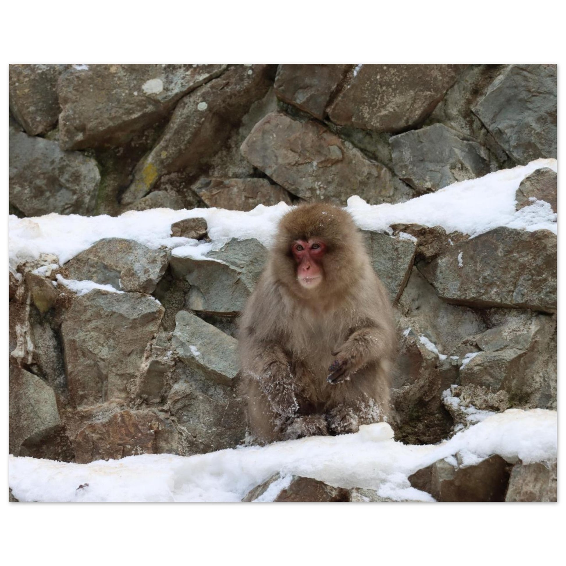 33ad7b8c-64a3-4c23-96d3-6cf968e1b765